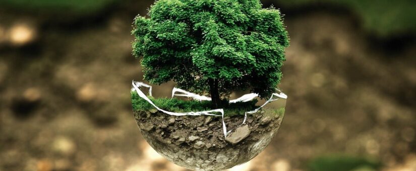 El proyecto Guardabosques de Mobius Group en la firma del pacto “GREENMOBILITY. RACE TO ZERO”