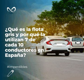 ¿Qué es la flota gris y por qué la utilizan 7 de cada 10 conductores en España?