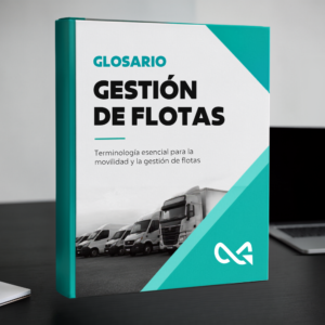 DICCIONARIO DE GESTIÓN DE FLOTAS